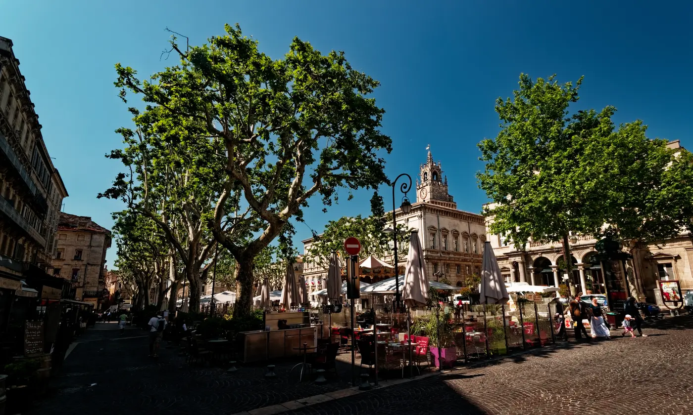Terrasses de café sous les platanes de la place de l'Horloge, avec la tour de l'horloge de l'hôtel de ville et le manège, Avignon