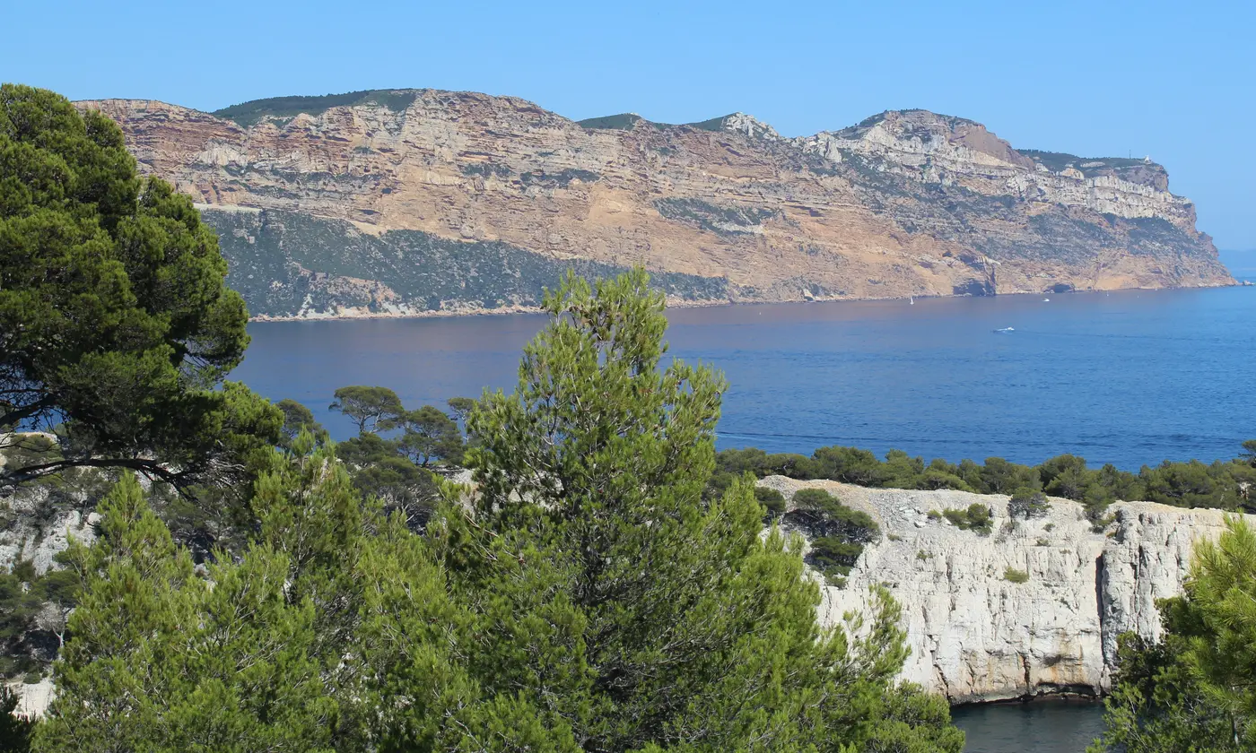 Les falaises ocre du Cap Canaille dominant la mer, vues depuis les pins des calanques, Cassis