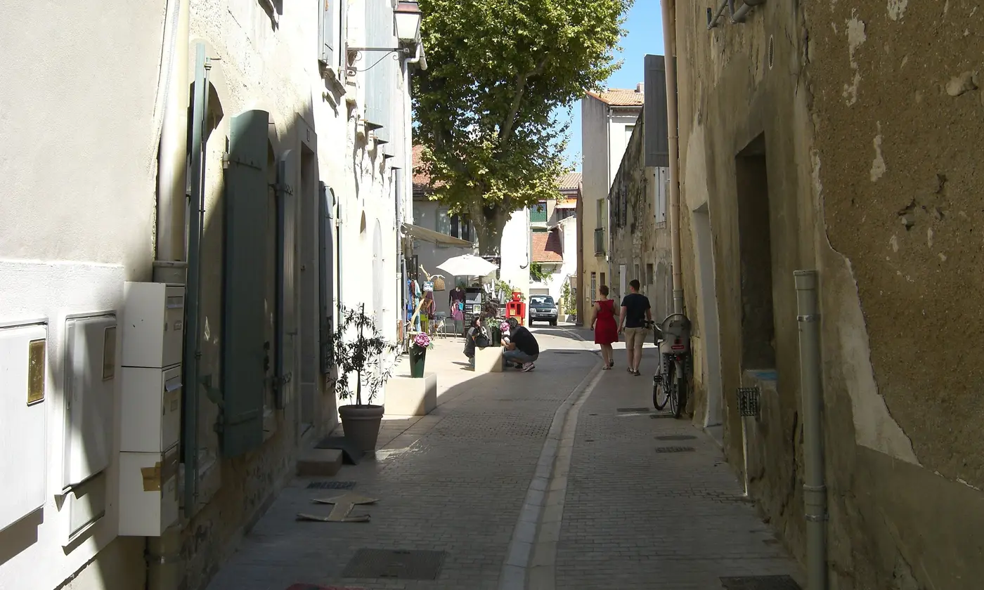 Ruelle ensoleillée de Saint-Rémy-de-Provence, volets provençaux, platane et flâneurs devant une boutique