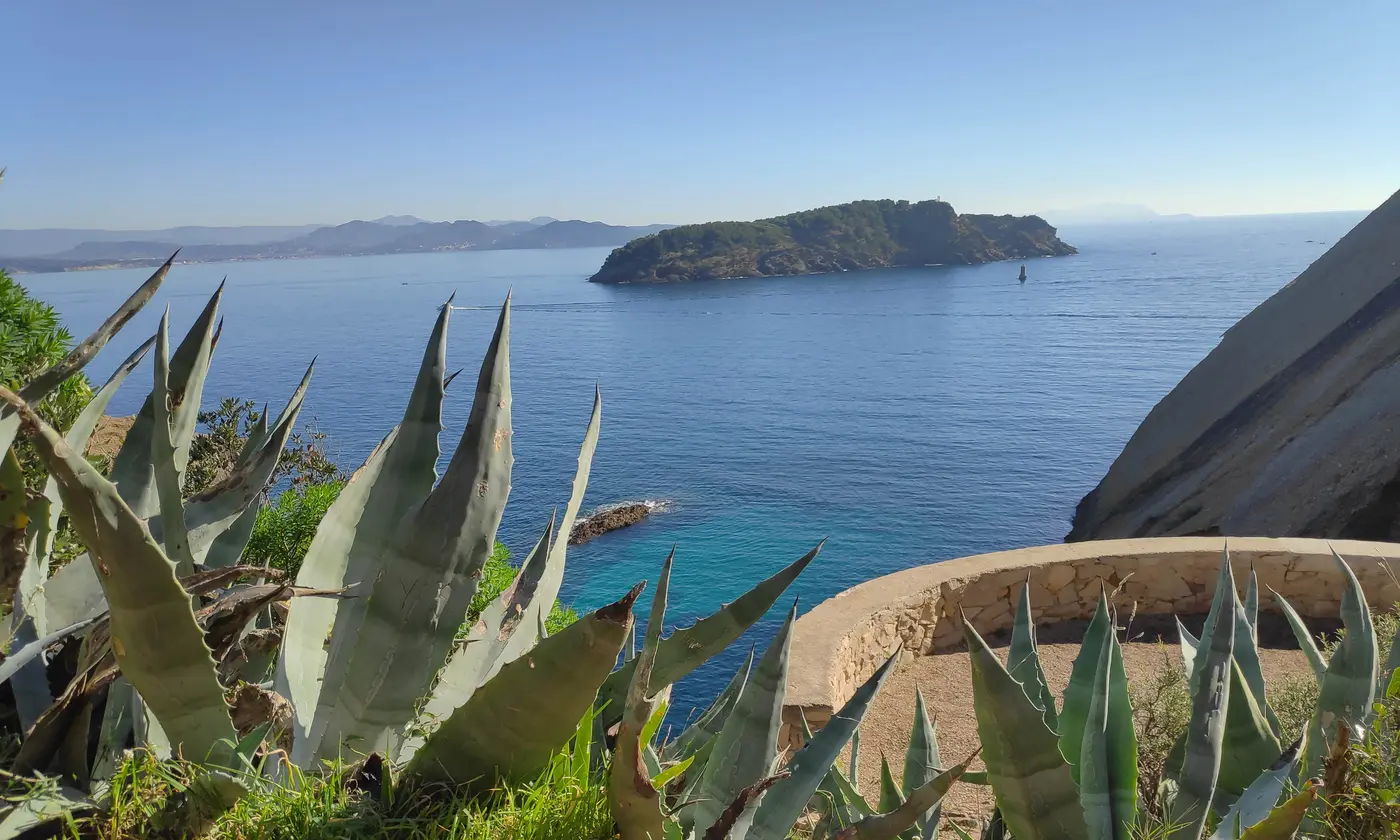 L'île Verte au large, vue entre les agaves d'un belvédère du sentier côtier, La Ciotat